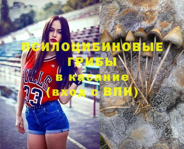 MDMA Горнозаводск