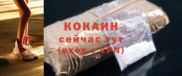 сатива Горняк