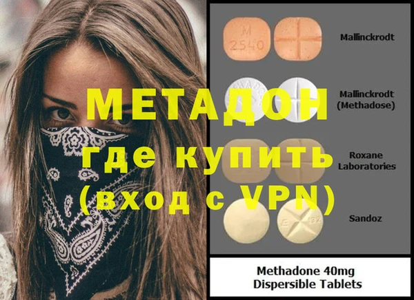 прущие грибы Гусев