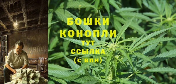 индика Гусиноозёрск