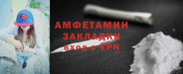 прущие грибы Гусев