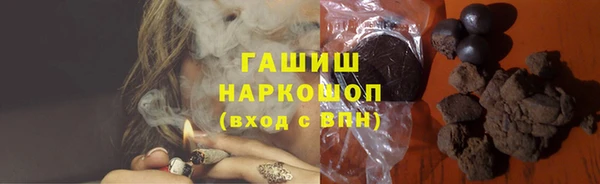 прущие грибы Гусев