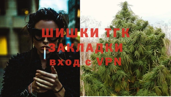 прущие грибы Гусев