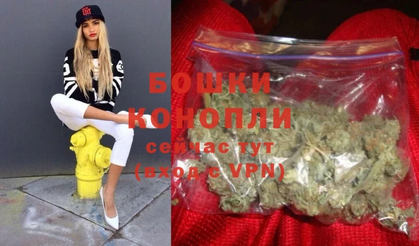 кокс Гусь-Хрустальный