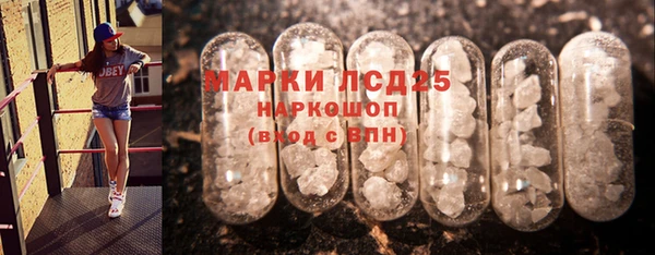 прущие грибы Гусев