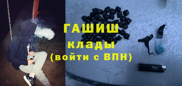 сатива Горняк