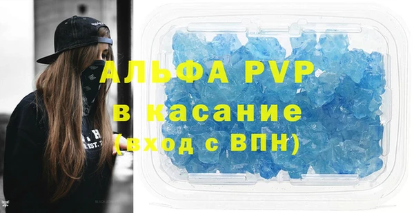 сатива Горняк