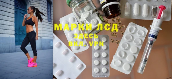 индика Гусиноозёрск